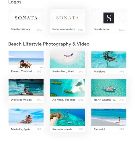 Screenshot aus Brandfolder für Assets