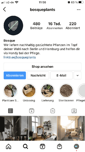 Instagram Business Profil beispiel