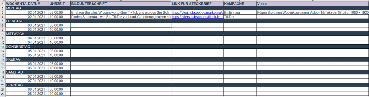 Optimize_Redaktionsplan-Social-Media-TikTok