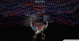 animated cursor effects: flashlight cursor effect