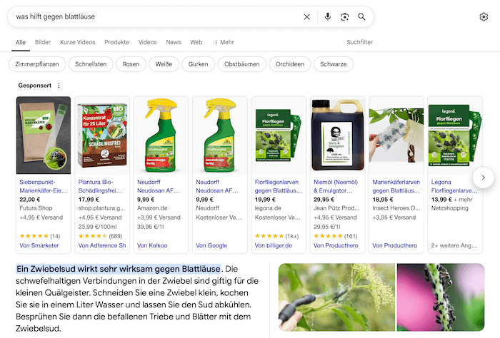 Darstellung von einem klassischen Suchergebnis mit gesponserten Shopping-Content 