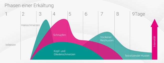 healthcare-marketing-phasen-einer-erkaeltung