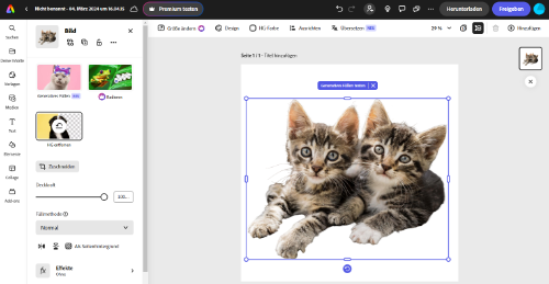 ki-bilder erstellen adobe firefly Hintergrundentfernung