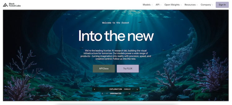 Screenshot der Black Forest Website