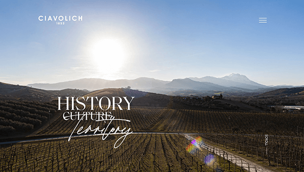 Beispiel für minimalistisches Website Weingut Ciavolich aus Italie