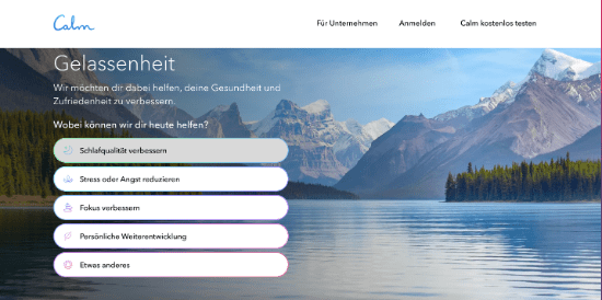 Nutzererlebnis Calm