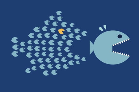 Grafik kleine Fische jagen großen Fisch