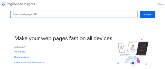 Screenshot PageSpeed-Tool von Google