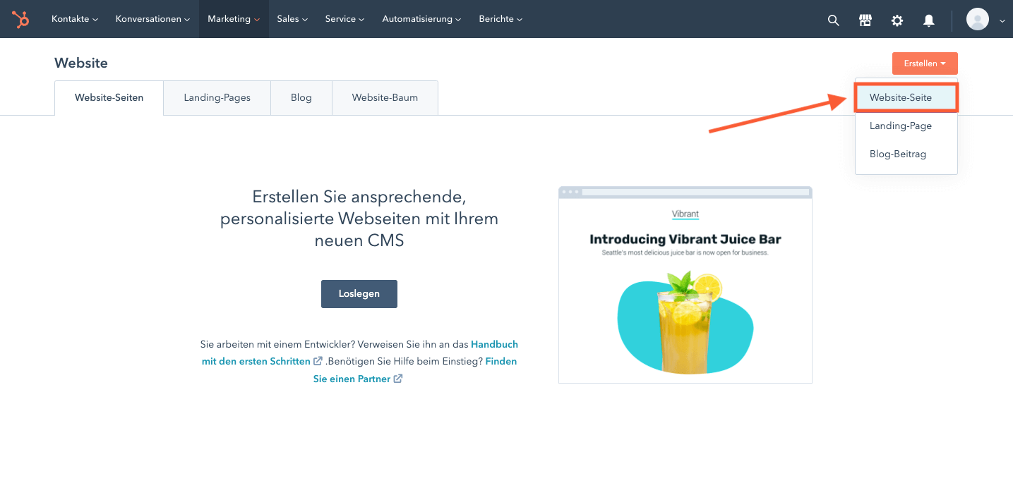 Website erstellen mit Hubspot CMS - Schritt 2