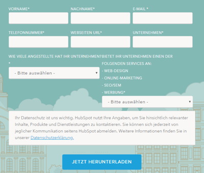 HubSpot-Facebook-Anzeigen-02-Beispielformular
