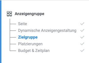 HubSpot-Facebook-Anzeigen-09-Anzeigengruppe