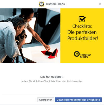 HubSpot-Facebook-Anzeigen-12-TS-Einsendung