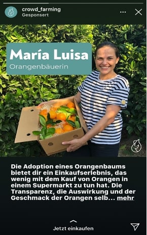 Werbewirkung im Online-Marketing anhand einer Insta Ad