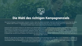 Die optimale Strategie für Facebook-Werbeanzeigen – Vorschaubild 6
