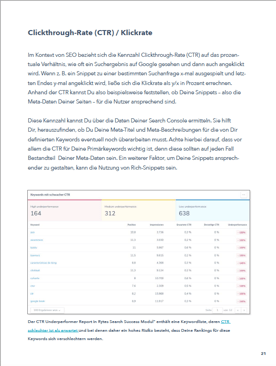 SEO-Reporting Ebook Vorschau 5