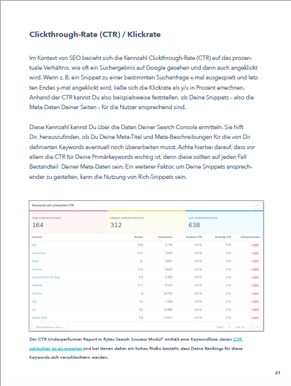 SEO-Reporting Ebook Vorschau 5