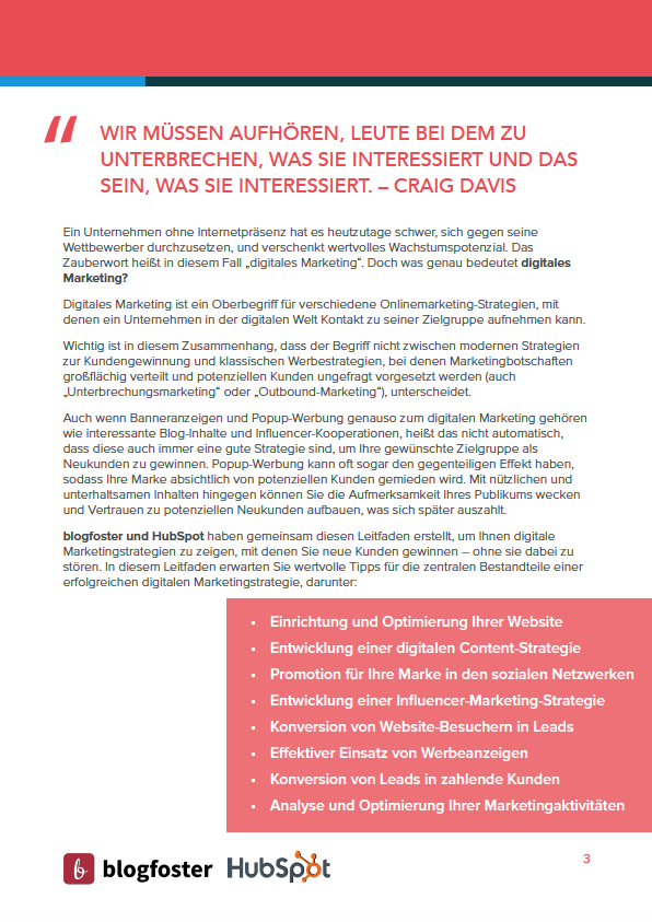 Einstieg ins digitale Marketing - Vorschau 1
