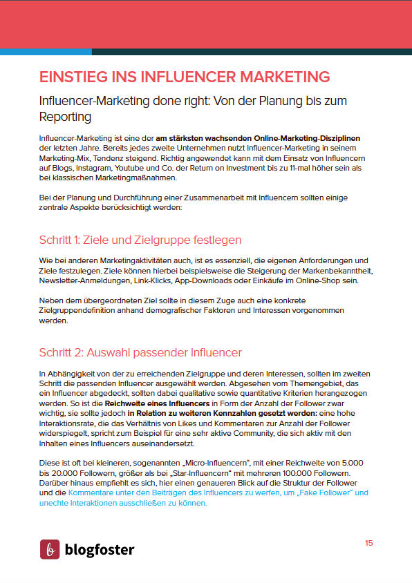 Einstieg ins digitale Marketing - Vorschau 2