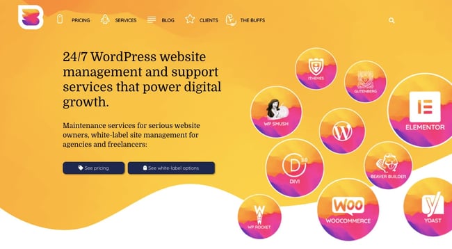 WordPress maintenance service: WP Buffs