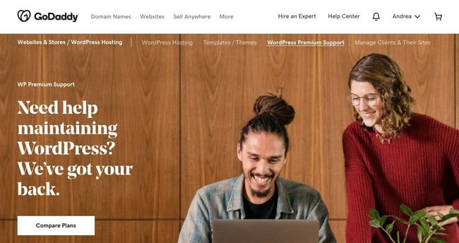WordPress maintenance service: GoDaddy