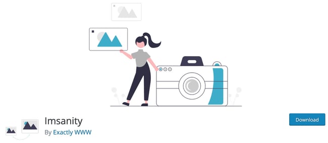 download page for the wordpress media management plugin imsanity