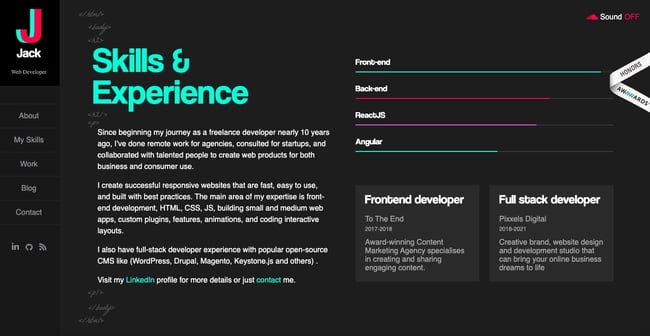 developer portfolio site with skills and experience listed