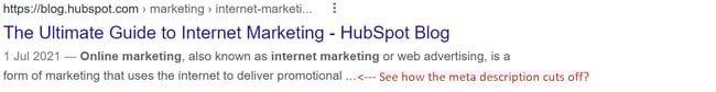 website mistake to avoid in 2021: long meta description