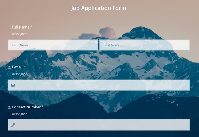 screenshot of an application form template from forms.app