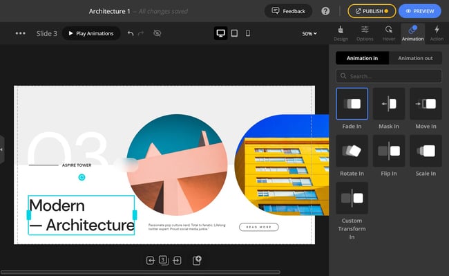 Depicter Animation Settings
