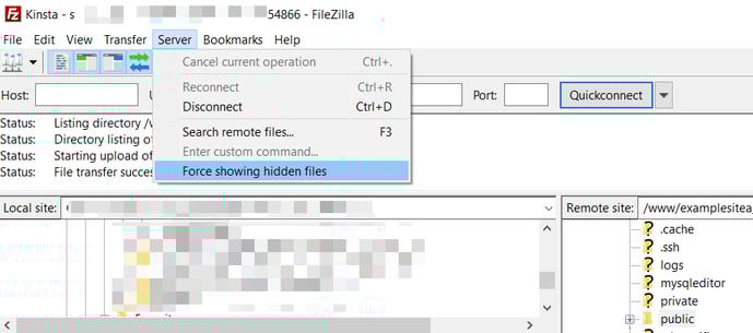 Wordpress maintanenece mode file show