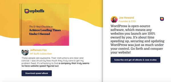 WP Buffs' eBook and case study offers in exchange for subscribing