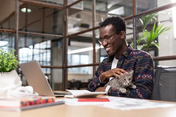 man using a computer to read about pagination vs infinite scroll and petting a cat