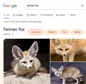 most important serp features: image packs