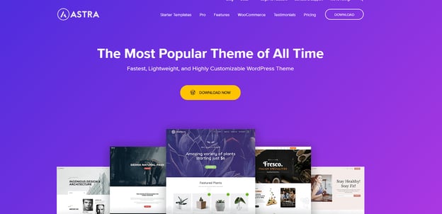 Astra WordPress theme