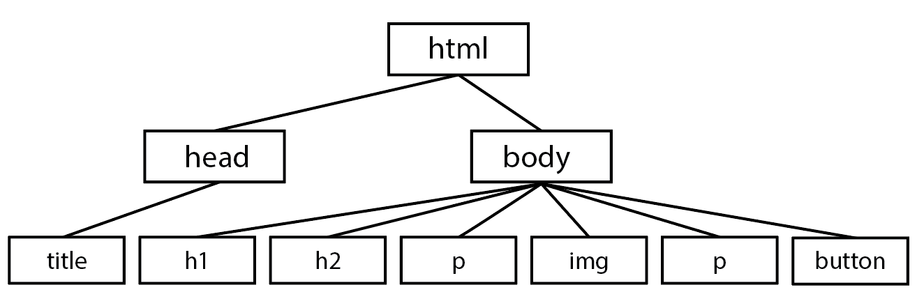 a tree diagram representing the structure of the DOM