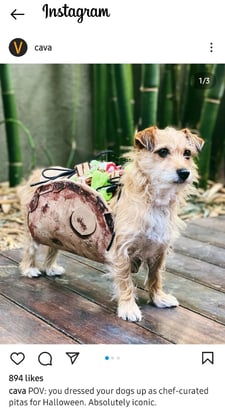 cava-grill-instagram-newsjack.jpg An Instagram post by Cava Grill of a dog dressed as a pita for Halloween.