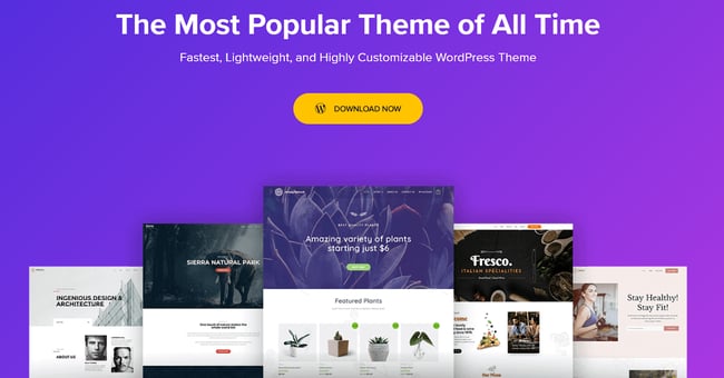 free WordPress themes for writers, Astra