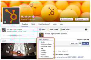 hubspot facebook page audience targeting demo
