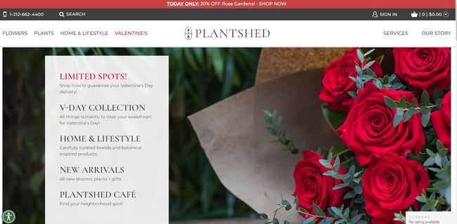 Best florist websites  design example from Plantshed.