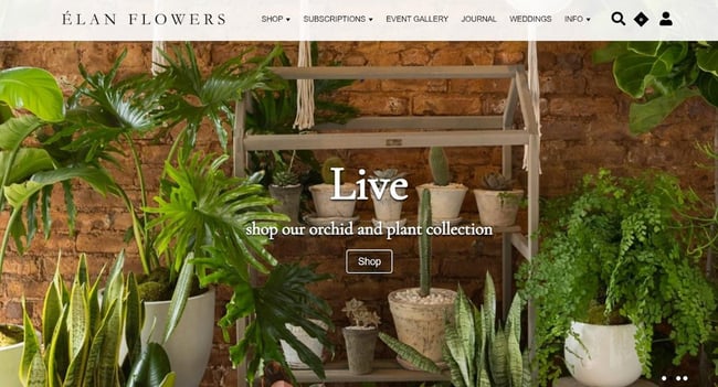 Best florist websites  design example from Elan Flowers.
