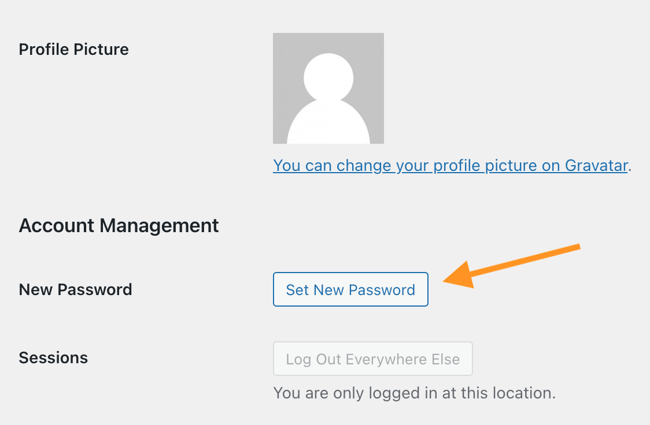 how to change password in wordpress: set new password button in wordpress