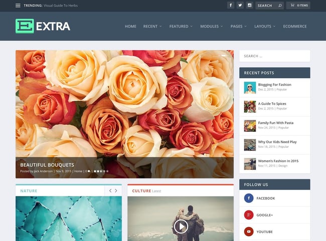 magazine WordPress themes, Extra