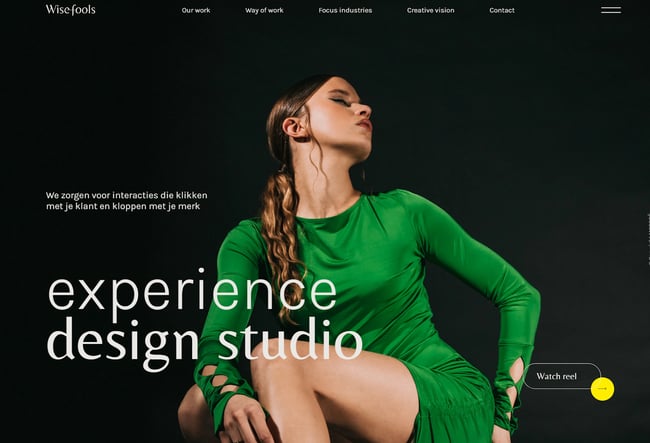 Best portfolio websites for developers, example from Wisefools.