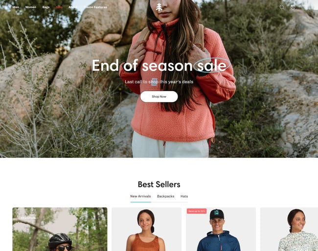 Shopify website themes