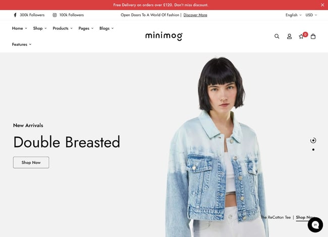 Shopify website themes