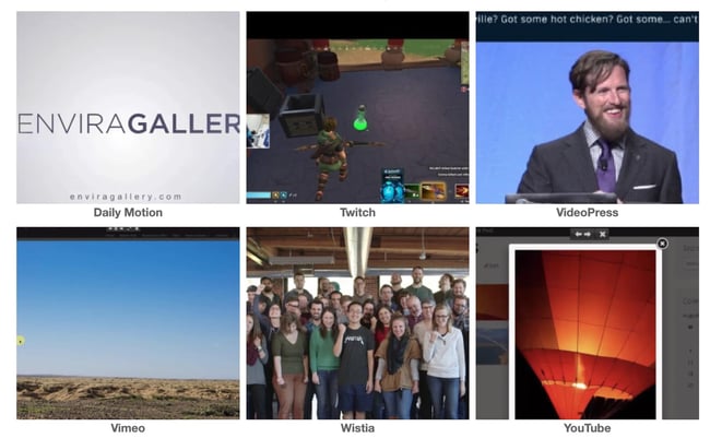 demo of the wordpress video plugin envira gallery