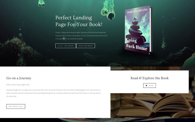 author WordPress theme, Novela