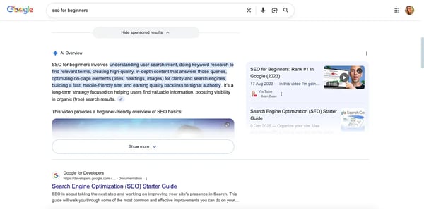 Google screenshot showing AI overviews