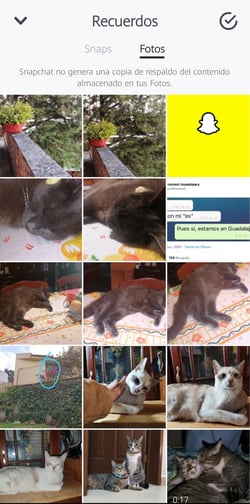 Guardar un Snap en las fotos de tu cámara en Snapchat