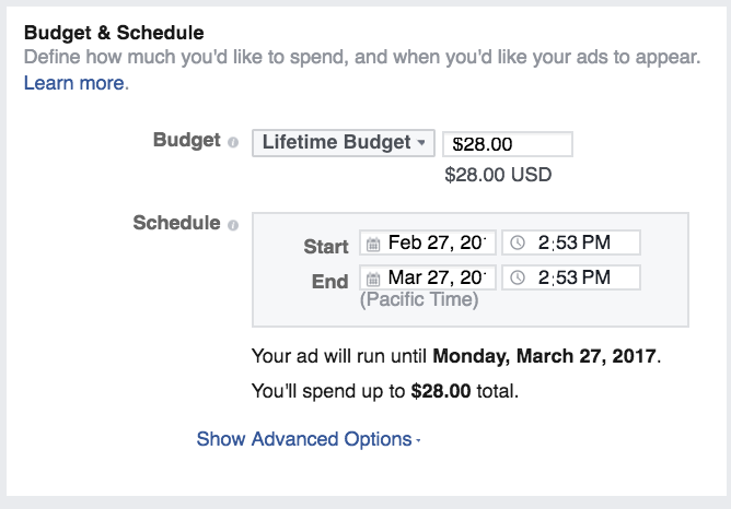 budget and schedule